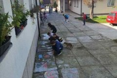 Вредни-шестаци